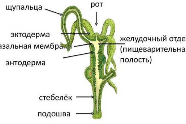 Почему не заходит на кракен