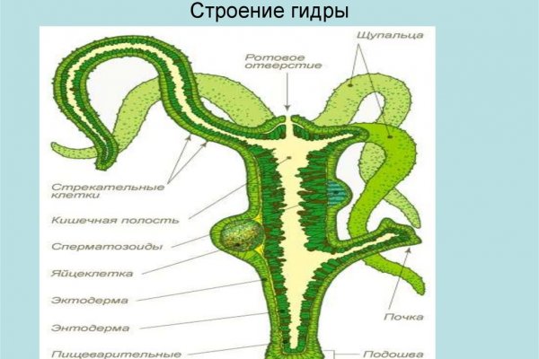 Кракен официальный сайт онион